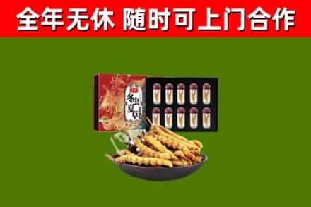 宝安区回收冬虫夏草价格